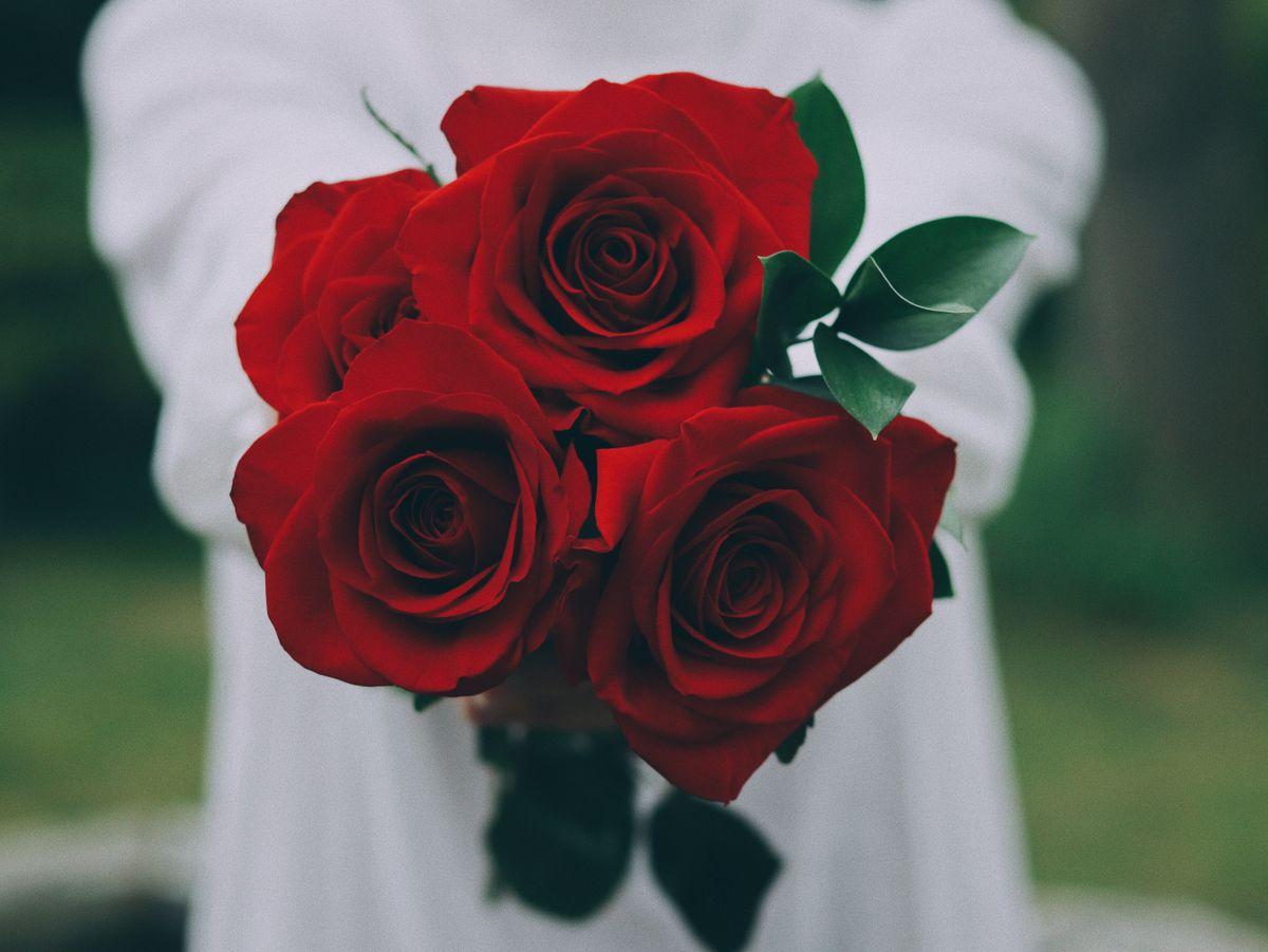 Buquê de 6 Rosas Vermelhas Nacionais