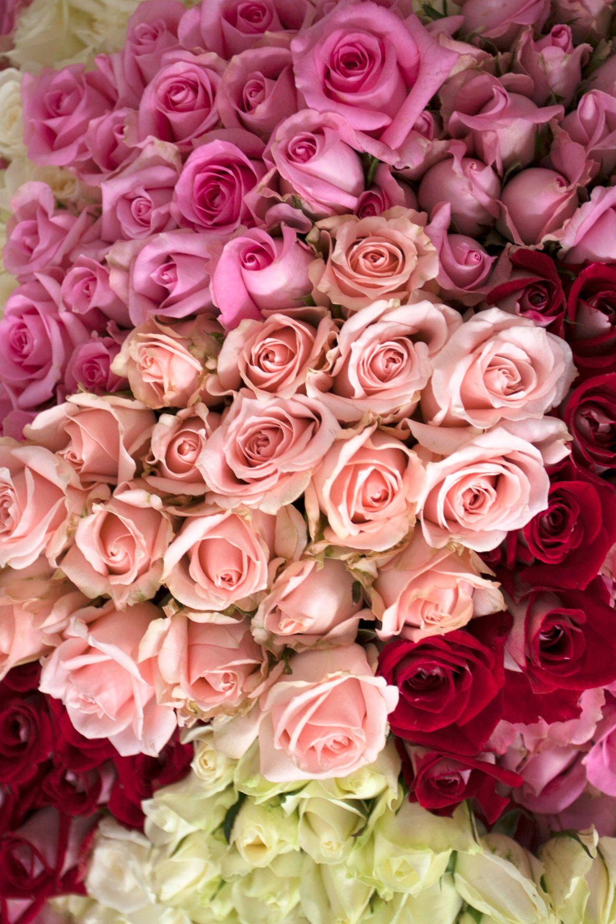 Buquê de Rosas em Degradê