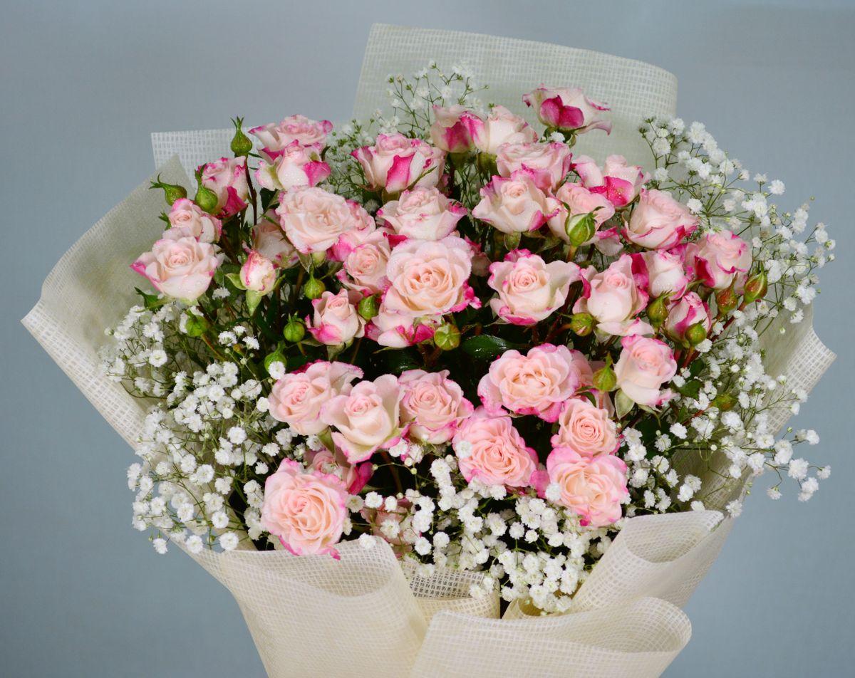 Roseiral Delicado