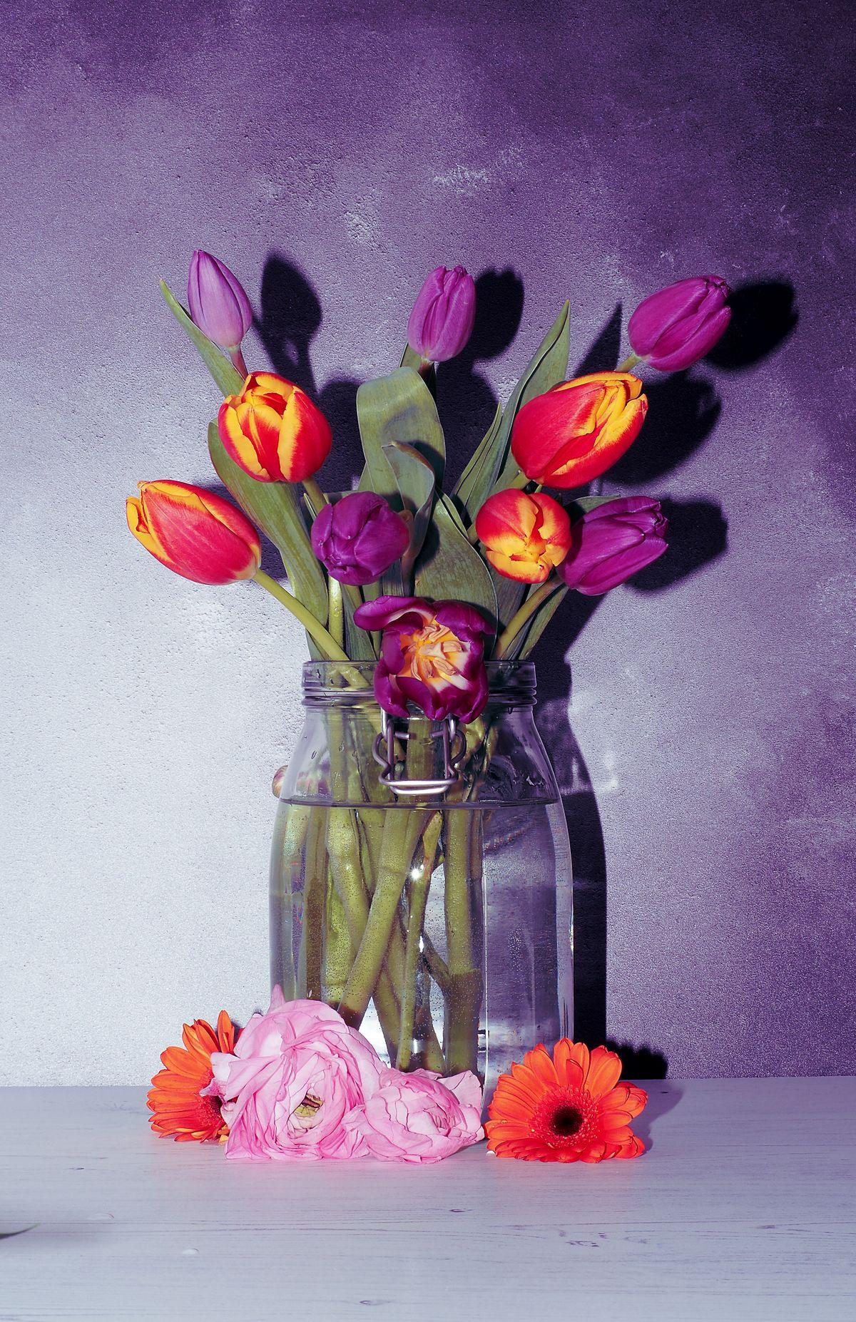 Tulipas de Amsterdã